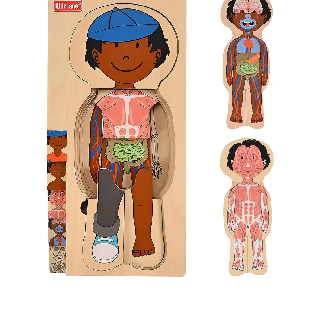 Kidzlane African American Boy Wooden My Body Puzzle for Toddlers and Kids - 29 Piece Girls Anatomy Puzzle Kid Play Set - Anatomy for Kids Skeleton Toys for Kids Ages 3 Plus